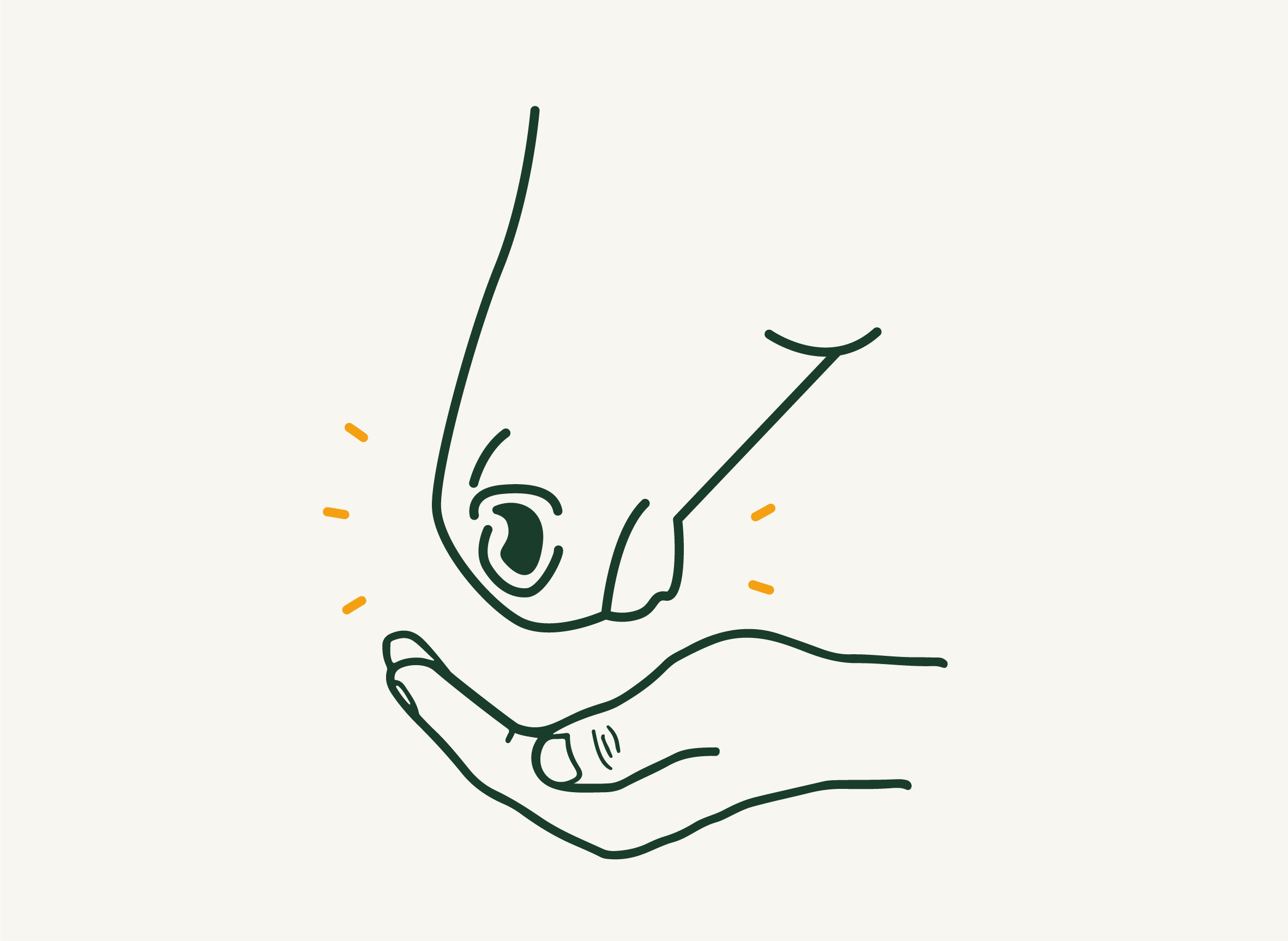 Icon zeigt ersten Kontakt mit dem Pferd bei der Schnupperstunde