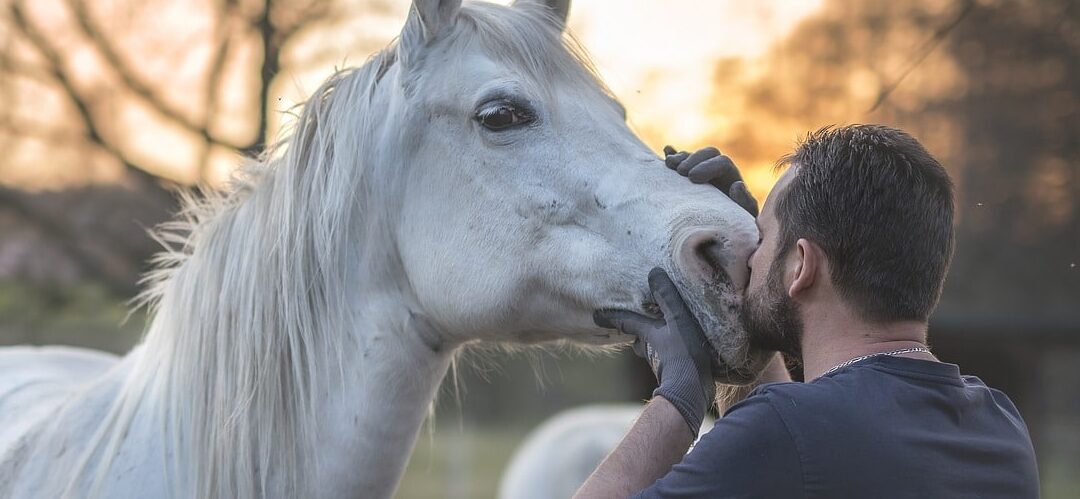 Selbstdisziplin durch Reiten