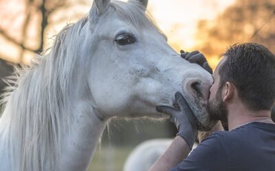 Selbstdisziplin durch Reiten: Routine und Engagement im Alltag