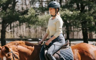 Reiten für Erwachsene in München: Ein umfassender Leitfaden für Einsteiger und Fortgeschrittene