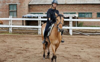 Reitschule München neu gedacht – Mobiler Reitunterricht für deinen Erfolg