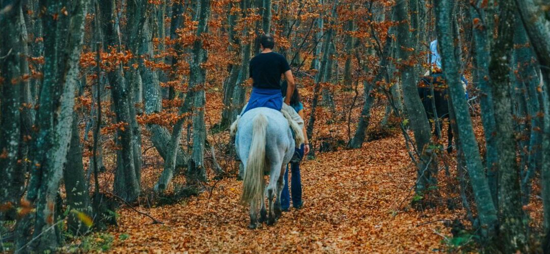 Reiten trotz Übergewicht