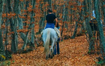 Reiten für alle: Warum das Gewicht kein Hindernis sein muss