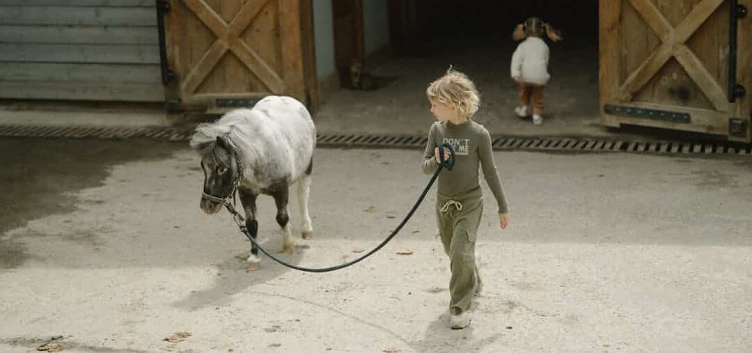 Reiten für Kinder